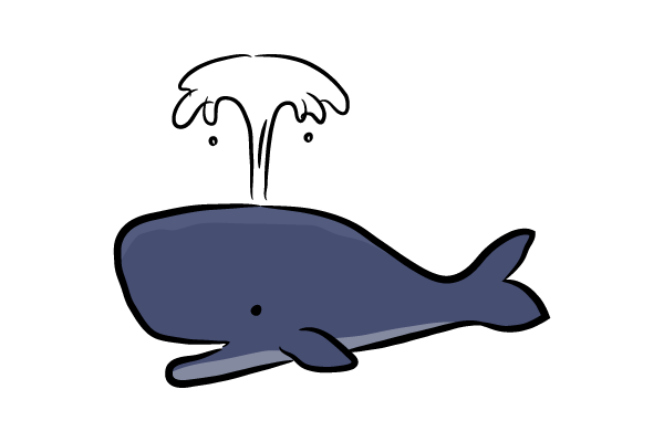 マッコウクジラ