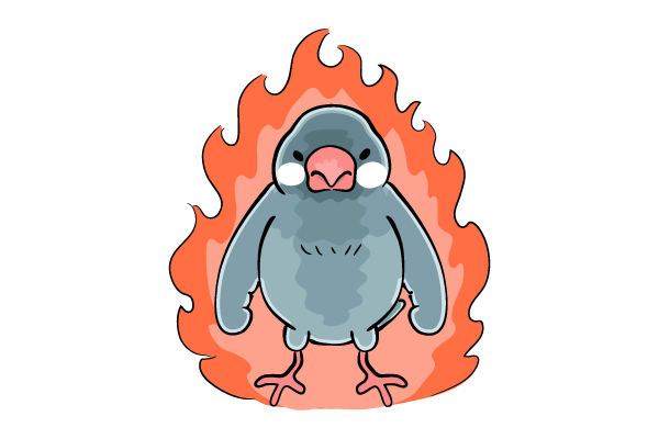 アングリーバード