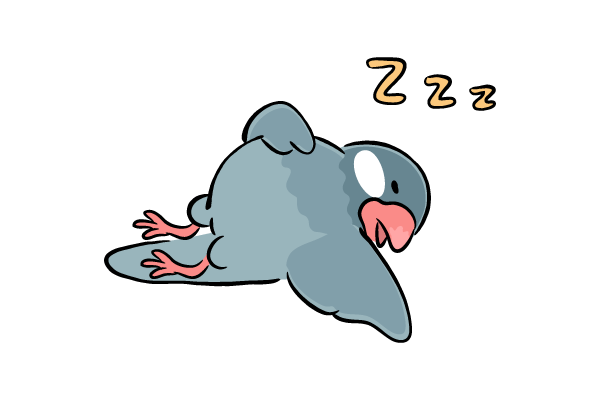 爆睡する文鳥