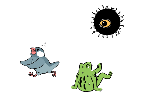 バックベアードに襲われる文鳥