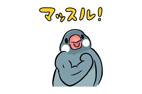 脳筋パワー　文鳥