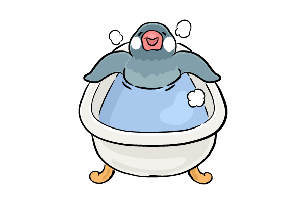 湯船につかる文鳥