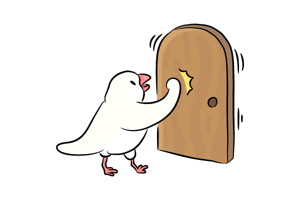 ドアをノックする文鳥