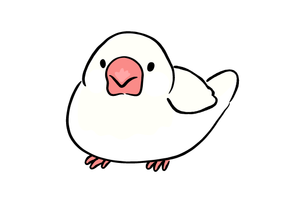 素な文鳥
