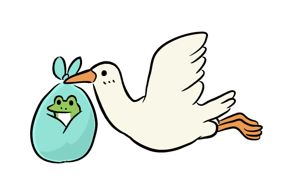 赤ちゃんを運ぶコウノトリ2