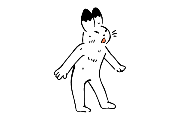 はぇーと感心するウサギ