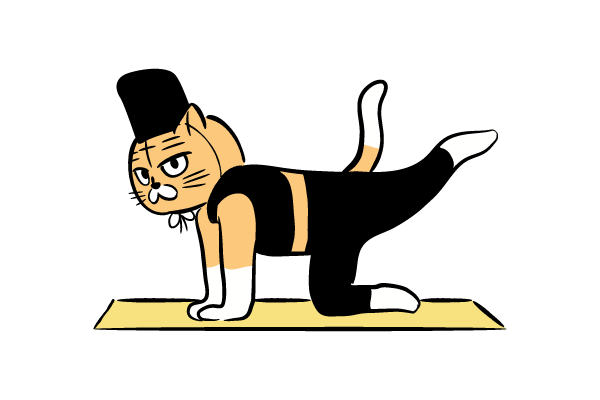 ピラティス　ネコver